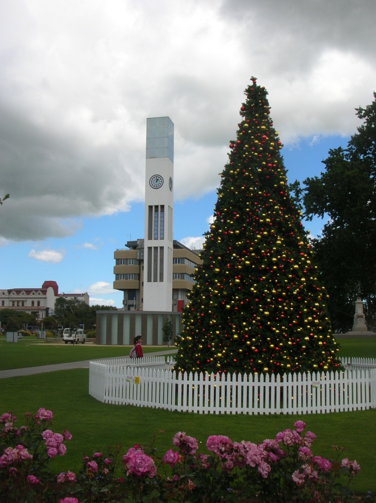 Christmas Tree auf dem Square.